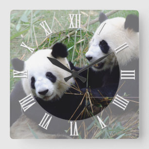 Giant Panda Bears Liebe spielen / Familie Pandas Quadratische Wanduhr