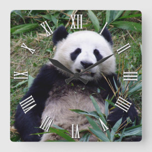 Giant Panda Behielt lächelnd, China Tiere Quadratische Wanduhr