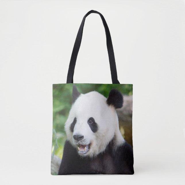 Giant Panda Eating Bamboo (Vorderseite)