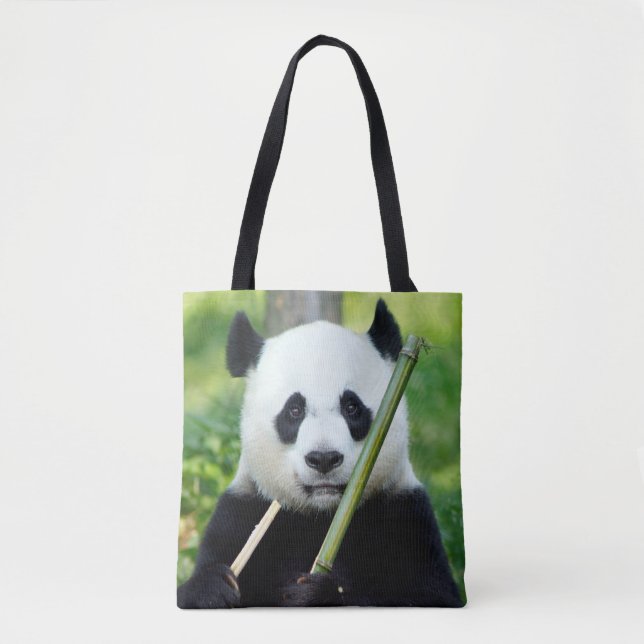 Giant Panda Holding Bamboo (Vorderseite)