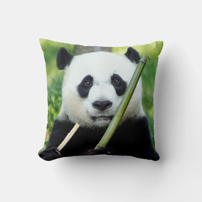 Giant Panda Holding Bamboo Kissen (Vorderseite)