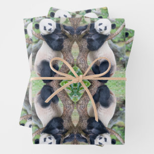Giant Panda in einem Baumhüpfpapier Geschenkpapier Set