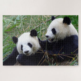 Giant Panda - Liebe & Bambus / China Bears Puzzle