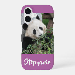 Giant Panda, Orchid, Lila, Name iPhone 16 Hülle