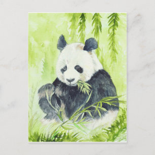 Giant Panda Postcard Postkarte