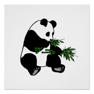 Giant Panda Poster