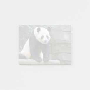 Giant Panda Yang Yang im Zoo Atlanta Post-it Klebezettel