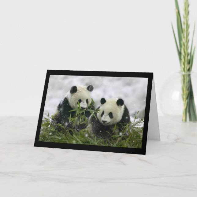 Giant Pandas Feiertagskarte (Vorderseite)