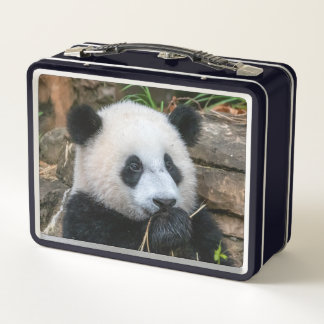 Giant Pandas Mei Xiang und Xiao Qi Ji Lunch Box