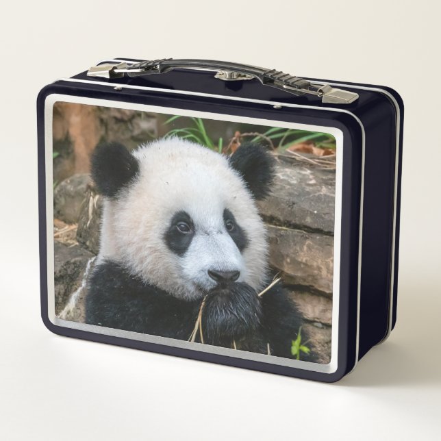 Giant Pandas Mei Xiang und Xiao Qi Ji Lunch Box (Rückseite)