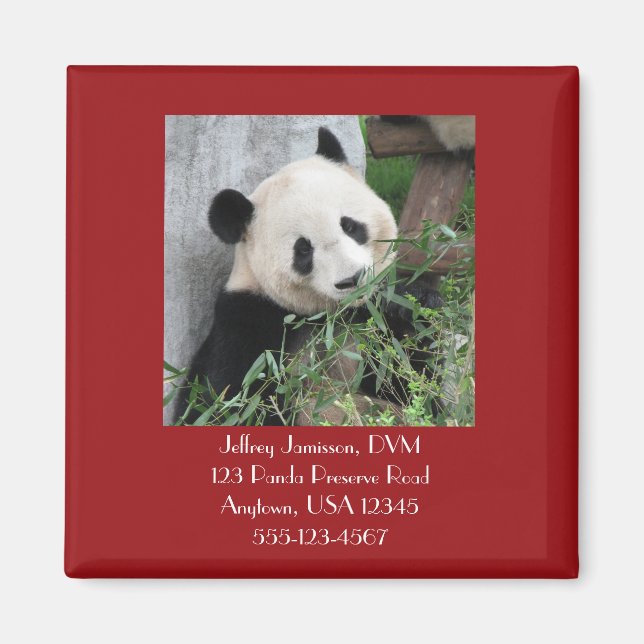 Giant Pandas Veterinary Vet Promoaway Magnet (Vorne)