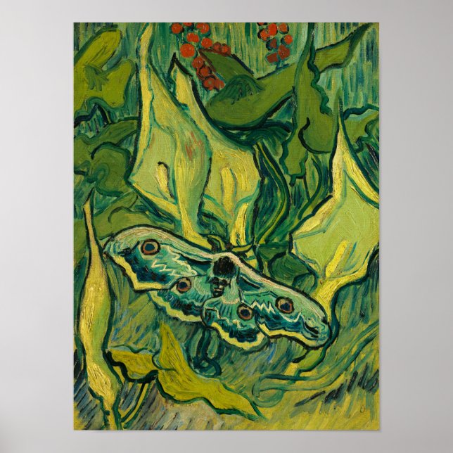 Giant Peacock Moth, 1889 von Vincent van Gogh Poster (Vorne)
