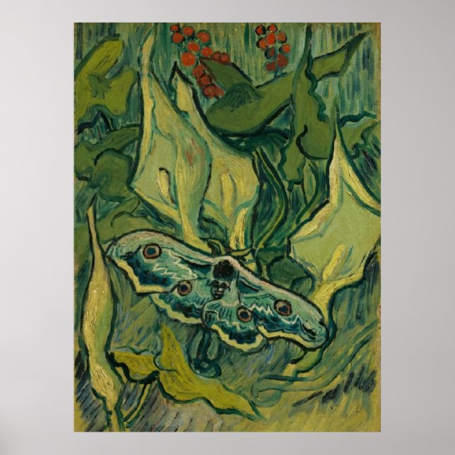 Giant Peacock Moth Vincent van Gogh 1889 Poster (Vorne)