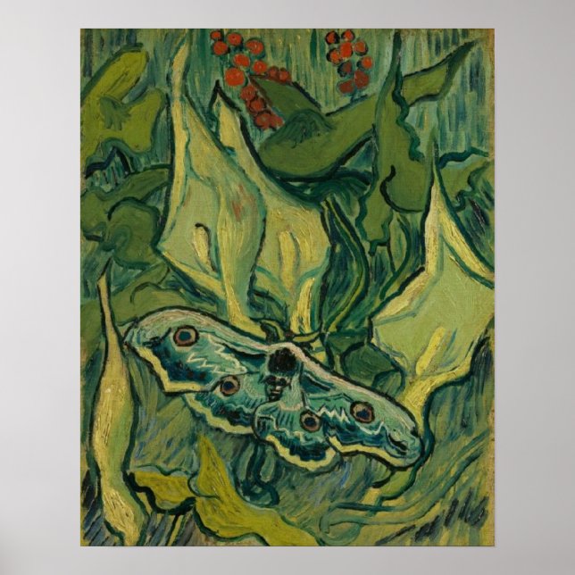 Giant Peacock Moth Vincent van Gogh 1889 Small Poster (Vorne)