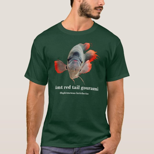 Giant red tail gourami , Osphronemus laticlavius T-Shirt (Vorderseite)