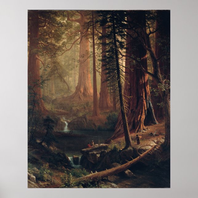 Giant Redwood Trees of California Albert Bierstadt Poster (Vorne)