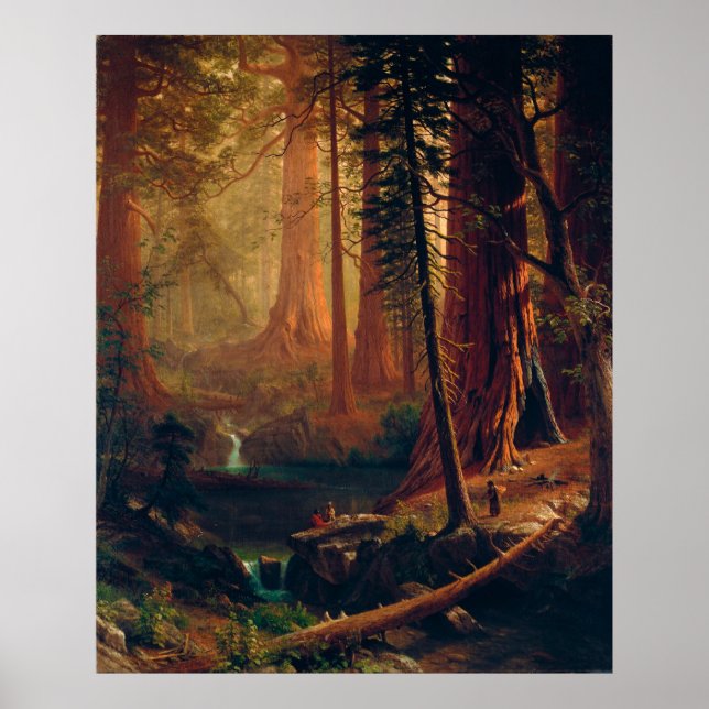 Giant Redwood Trees of California by A. Bierstadt Poster (Vorne)