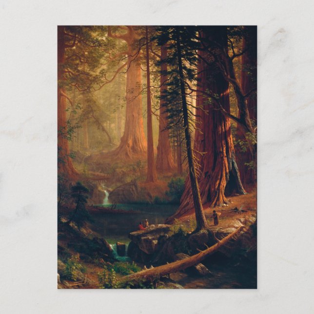 Giant Redwood Trees of California by A. Bierstadt Postkarte (Vorderseite)