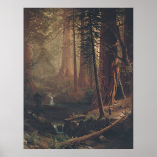 Giant Redwood Trees of California Poster