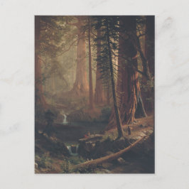 Giant Redwood Trees of California Postkarte