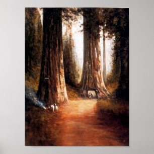 Giant Redwoods Poster
