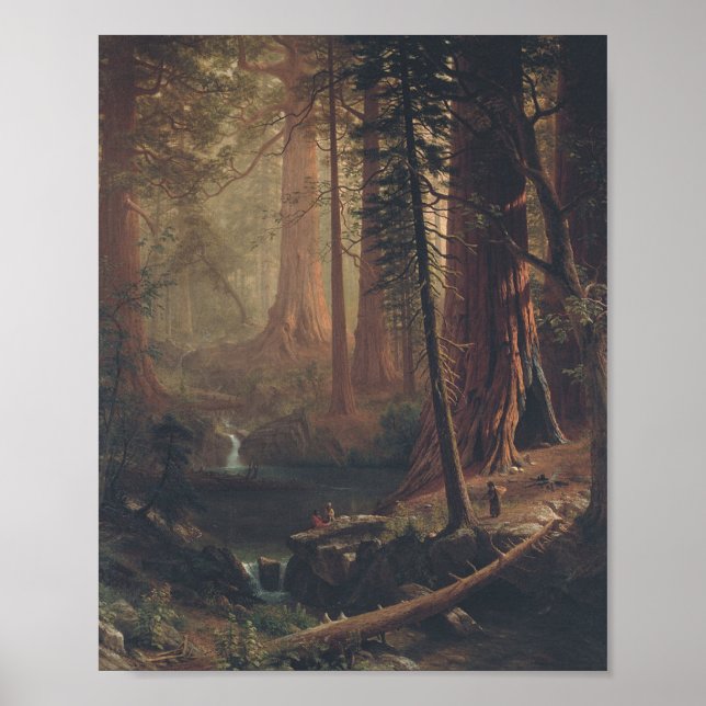 Giant Redwoods von Albert Bierstadt Poster (Vorne)