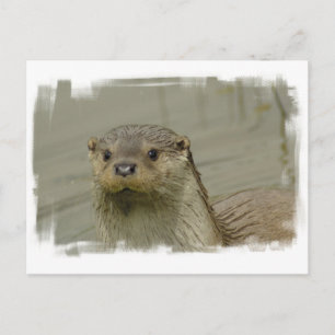Giant River Otter Postcard Postkarte