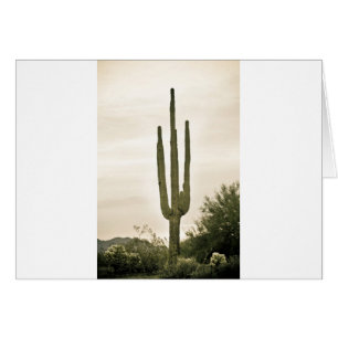 Giant Saguaro Sonoran Desert Portrait