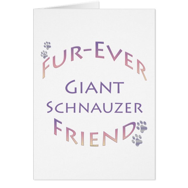 Giant Schnauzer Furever (Vorne)