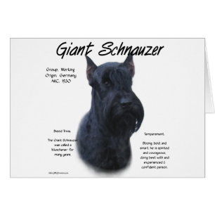 Giant Schnauzer Geschichtsdesign