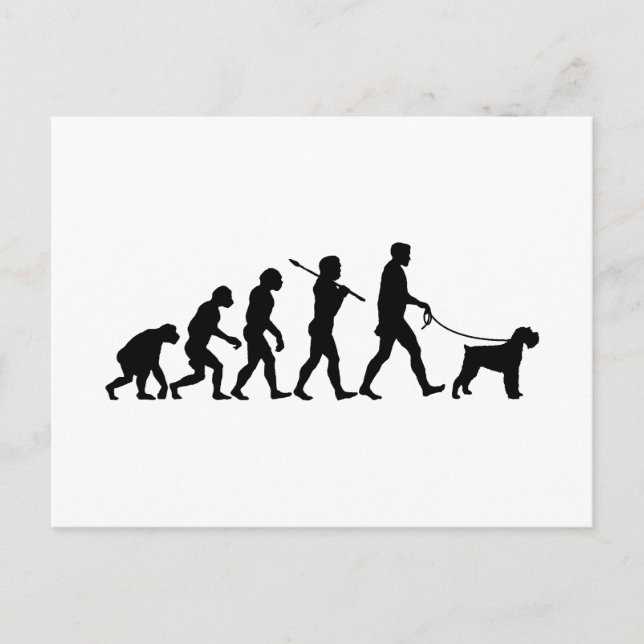 Giant Schnauzer Postkarte (Vorderseite)