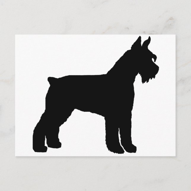 Giant Schnauzer (schwarz) Postkarte (Vorderseite)