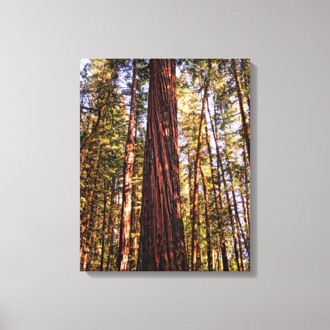 Giant Sequoia Redwood Wrapped Canvas Print Leinwanddruck (Vorderseite)