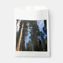 Giant Sequoia Sky View