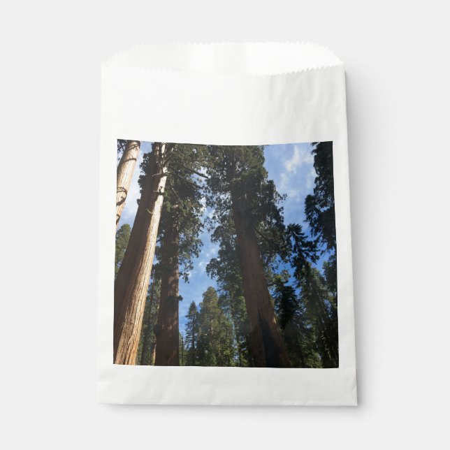 Giant Sequoia Sky View Geschenktütchen (Vorderseite)