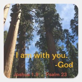 Giant Sequoia Sky View Quadratischer Aufkleber