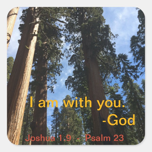 Giant Sequoia Sky View Quadratischer Aufkleber (Vorderseite)