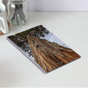 Giant Sequoia Tree Foto Notizblock