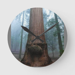 Giant Sequoia Tree in Grant Grove, CA Runde Wanduhr