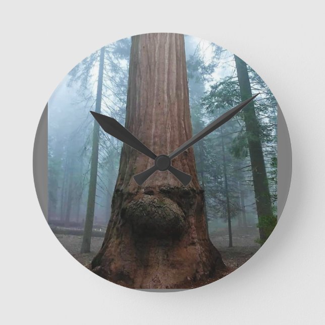 Giant Sequoia Tree in Grant Grove, CA Runde Wanduhr (Vorderseite)