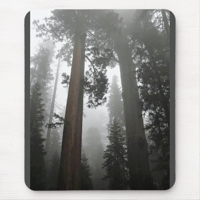 Giant Sequoia Trees in the Fog, CA Mousepad (Vorne)