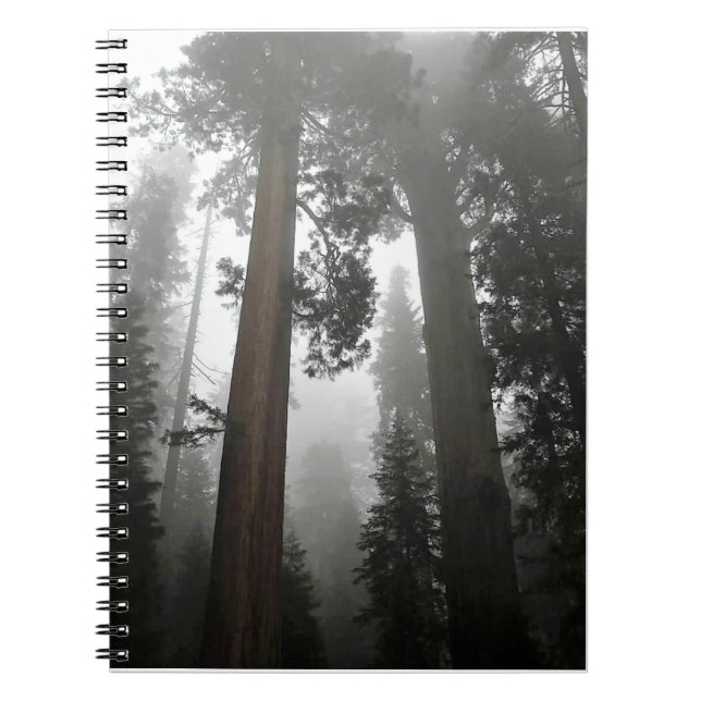 Giant Sequoia Trees in the Fog, CA Notizblock (Vorderseite)