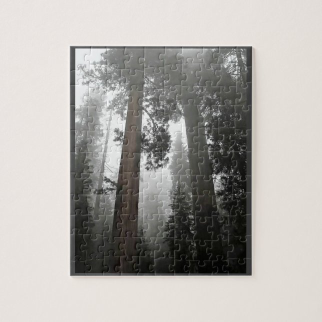 Giant Sequoia Trees in the Fog, CA Puzzle (Vertikal)