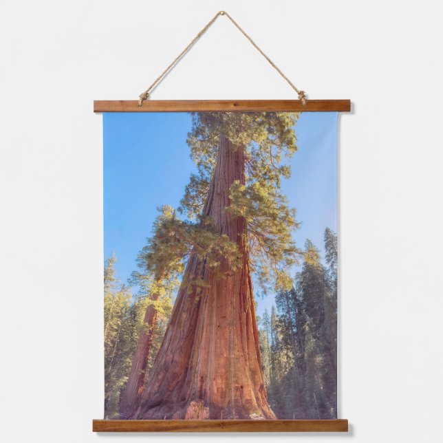 Giant Sequoia Wandteppich Mit Holzrahmen (Vorderseite)