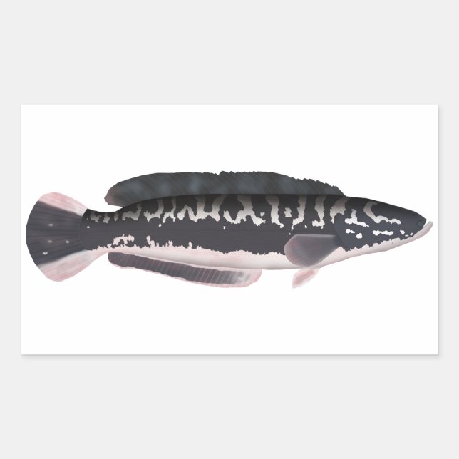 Giant Snakehead Rechteckiger Aufkleber (Vorderseite)