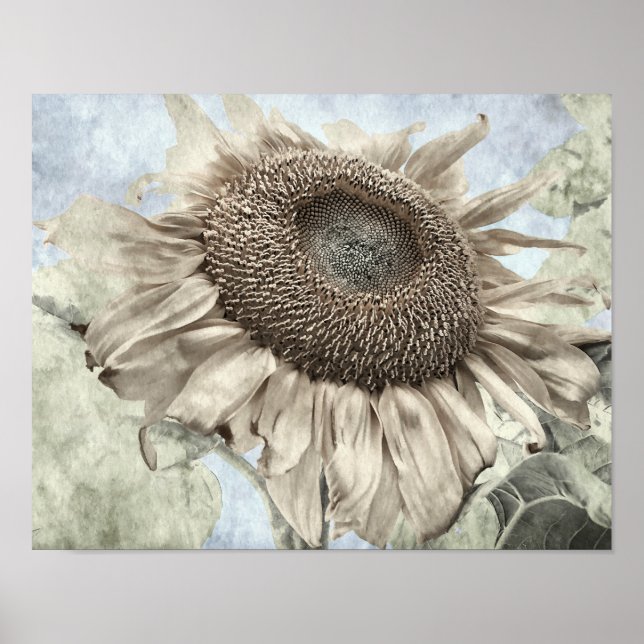 Giant Sunflower Yellow Pastel Chic Vintage Antique Poster (Vorne)
