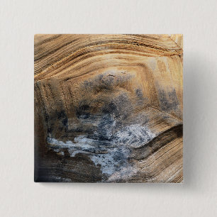 GIANT TORTOISE MUSCHEL BUTTON