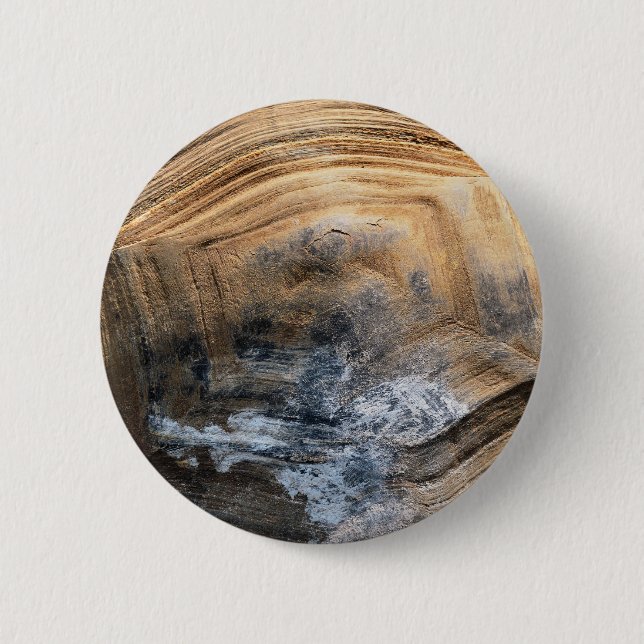 GIANT TORTOISE MUSCHEL BUTTON (Vorderseite)