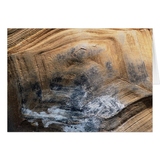 GIANT TORTOISE MUSCHEL GREETINGS CARD (Vorderseite (Horizontal))