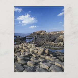 Giants Causeway, County Antrim, Nordirland Postkarte